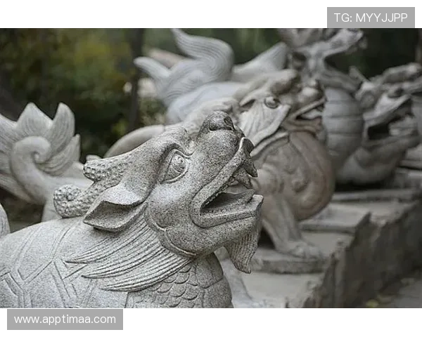 详解K8网站登录入口的重要性及使用方法 详解K8网站登录入口的重要性及使用方法